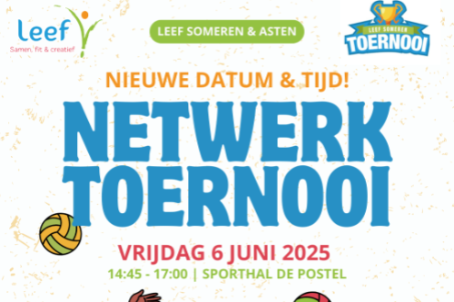 Volleybal Netwerktoernooi