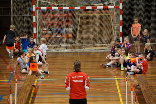 Foto bij Handbal Someren