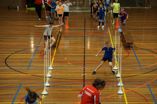 Foto bij Handbal Someren