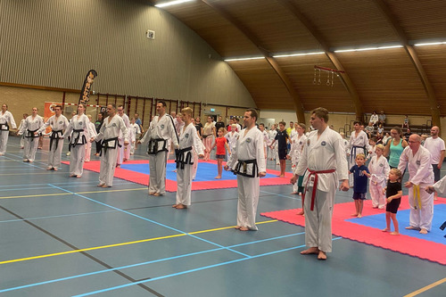 Taekwon-Do en weerbaarheid