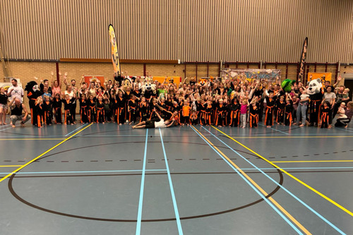TKD Tigers Life Skills