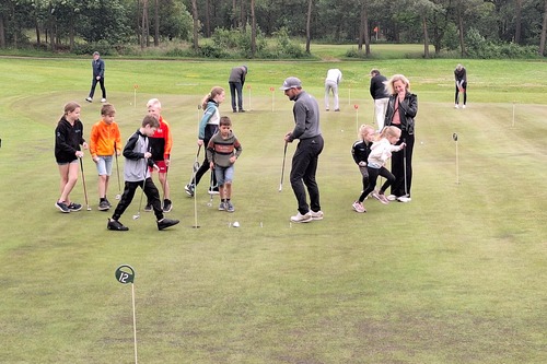 Golfles