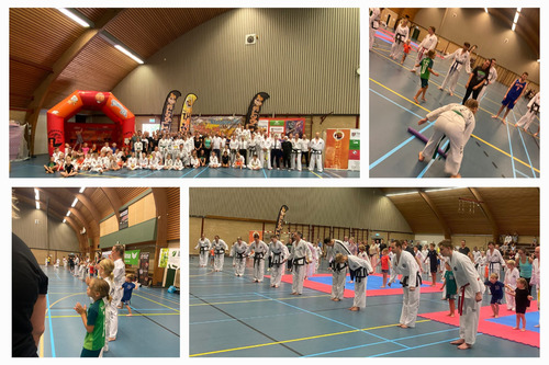 Taekwon-Do en weerbaarheid