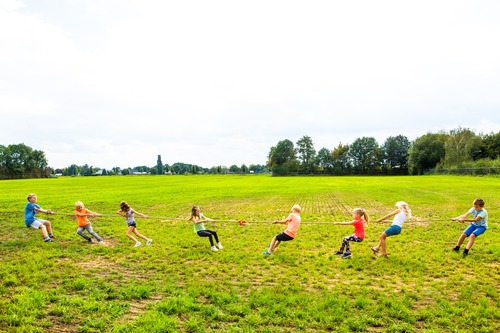 Fit & Fun