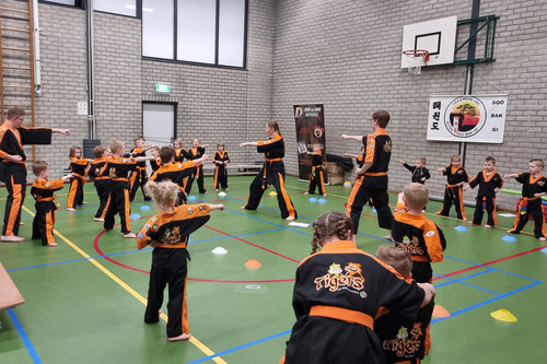 TKD Tigers Life Skills